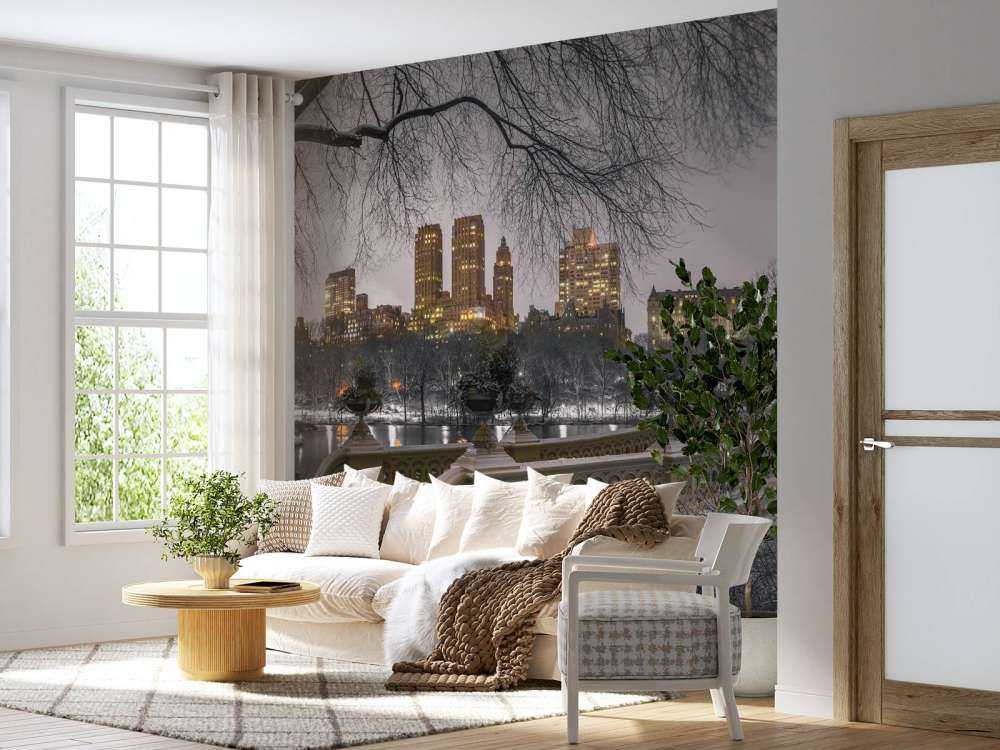 Central park and Manhattan