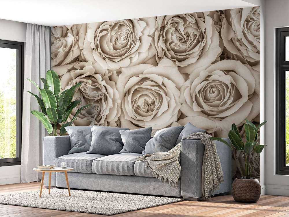 Background of roses