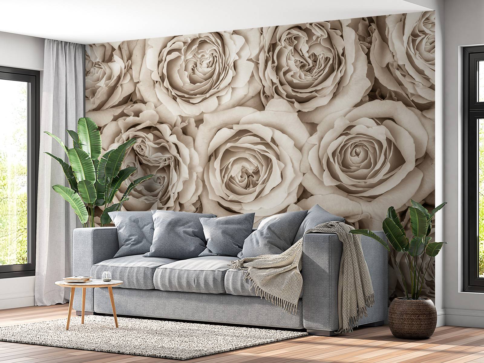 Background of roses