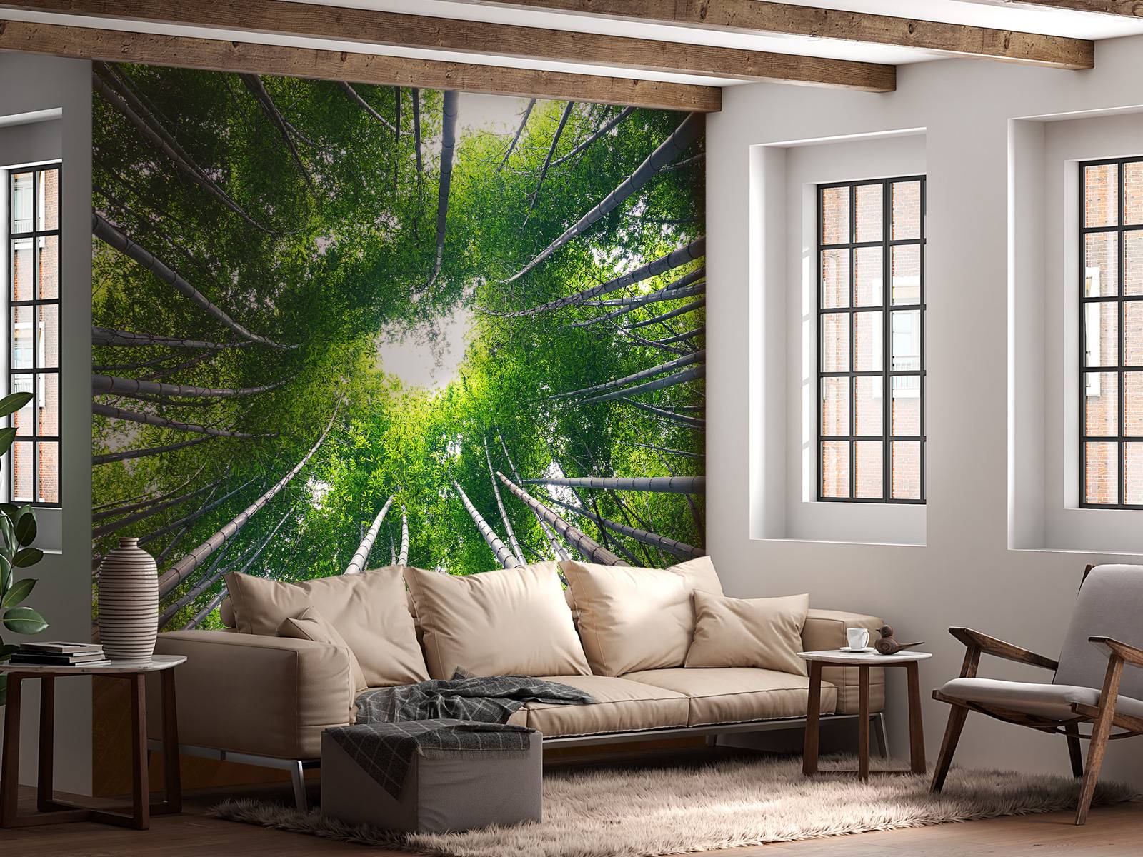Forest with bamboo