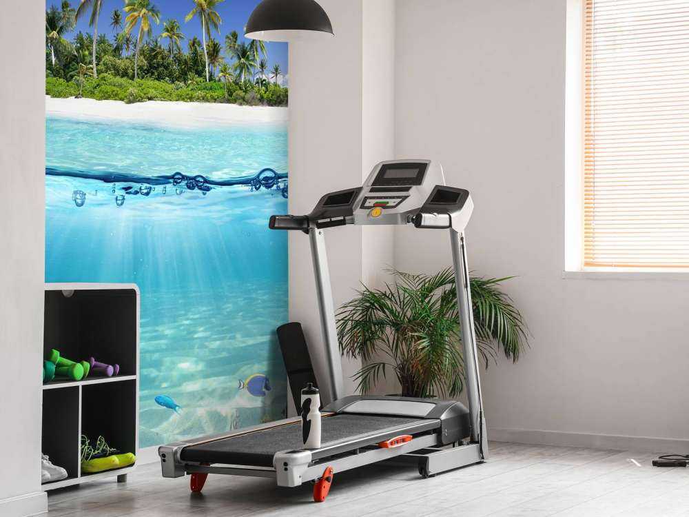 Tropical island and coral reef
