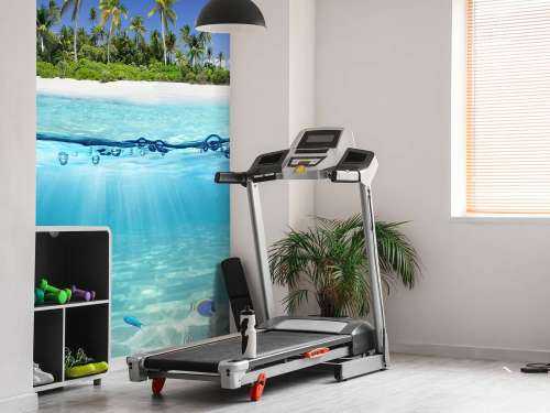 Tropical island and coral reef