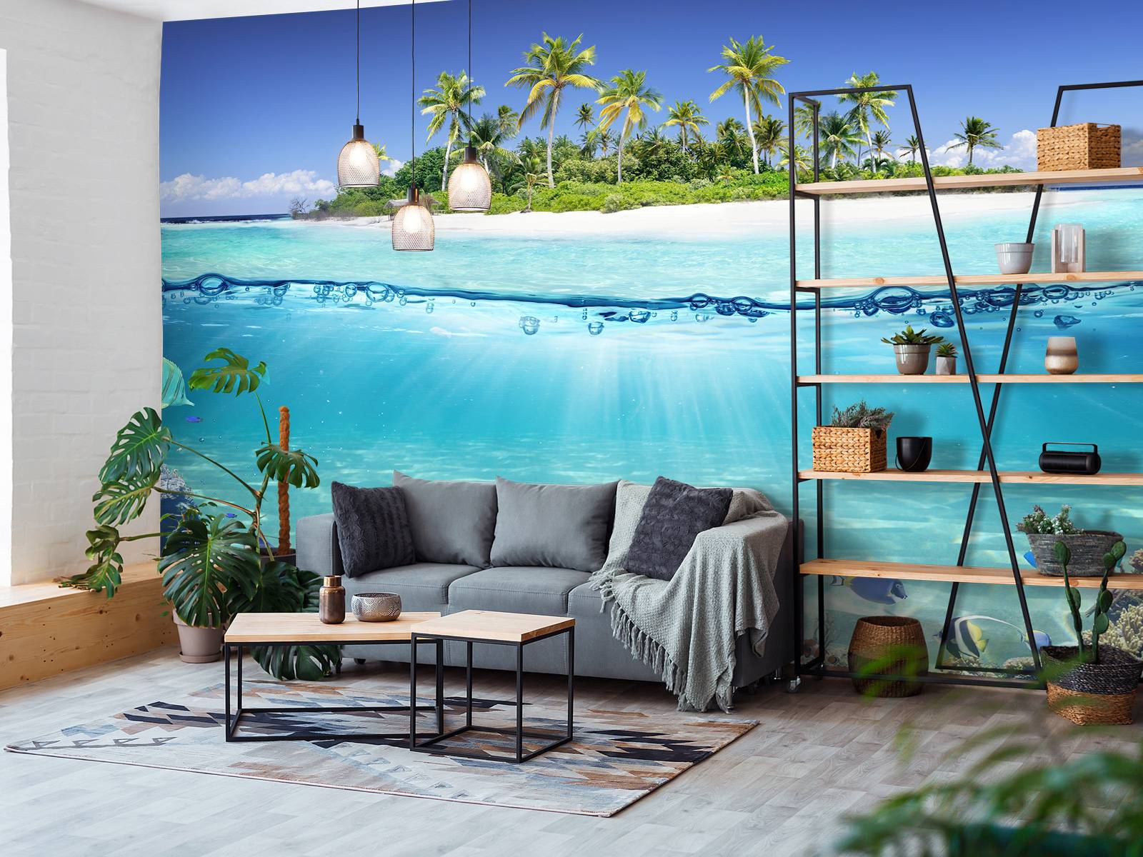 Tropical island and coral reef
