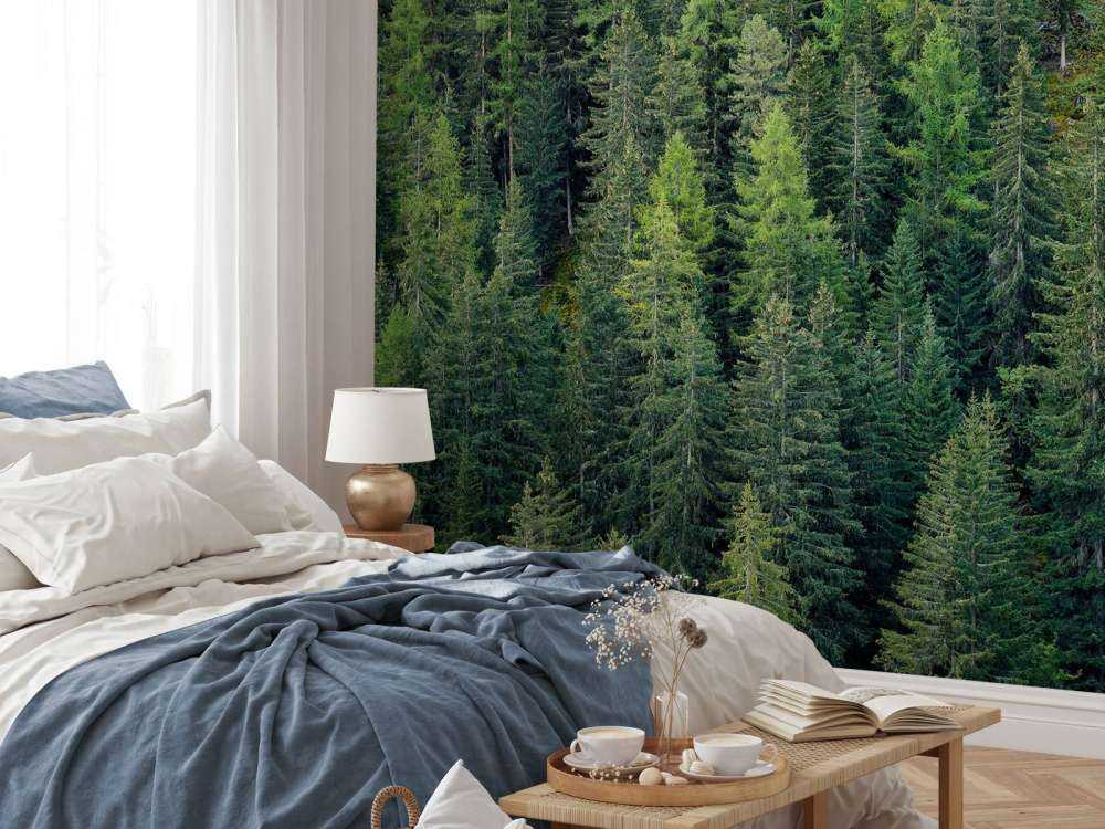 Green spruce forest