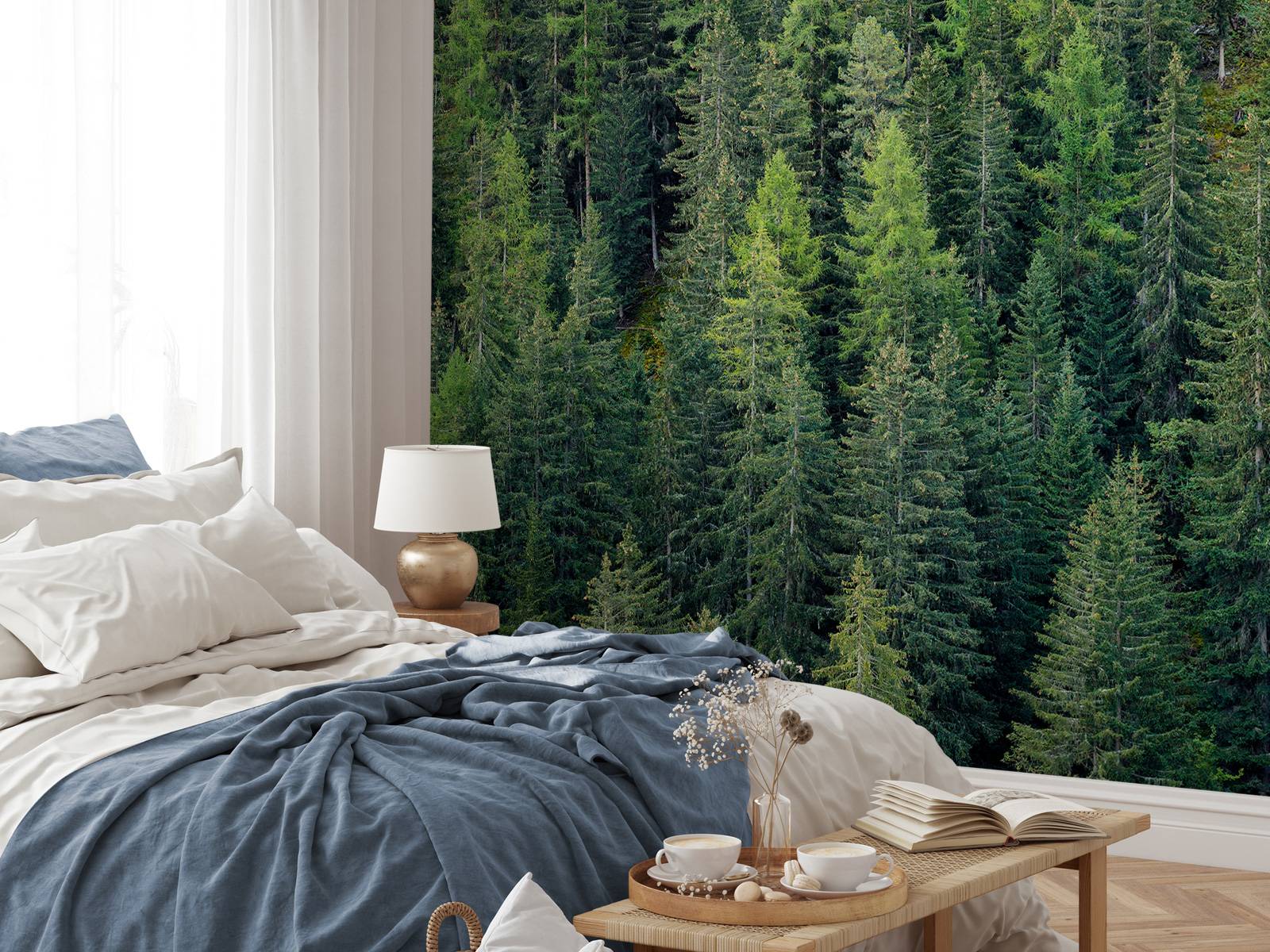 Green spruce forest