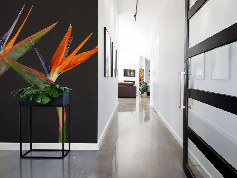 Bird of Paradise flowers