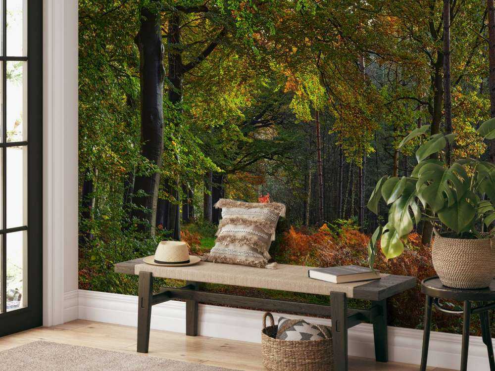 Path with leaves through the forest