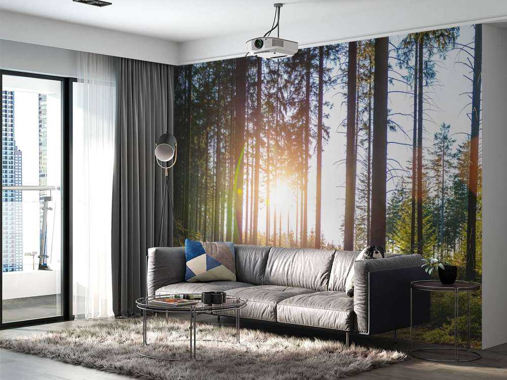 Spring forest