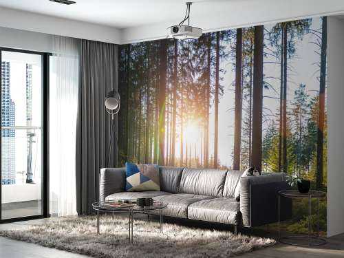 Spring forest