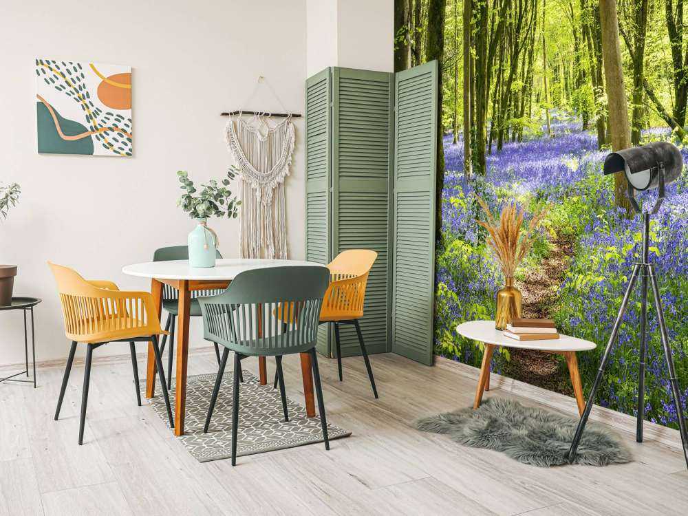 Forest in the sunlight