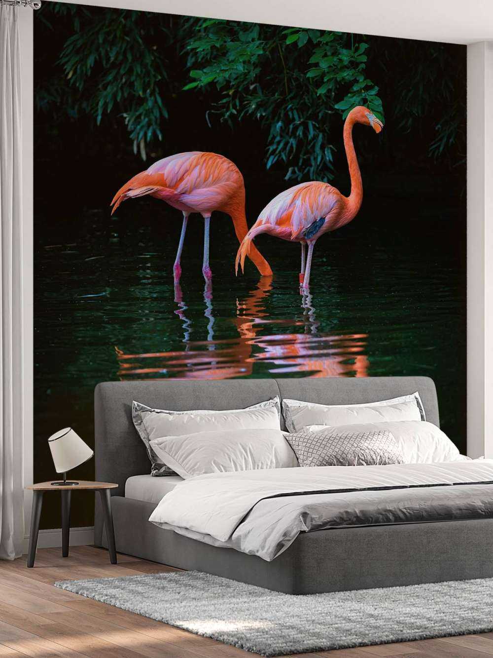 Two Caribbean flamingos