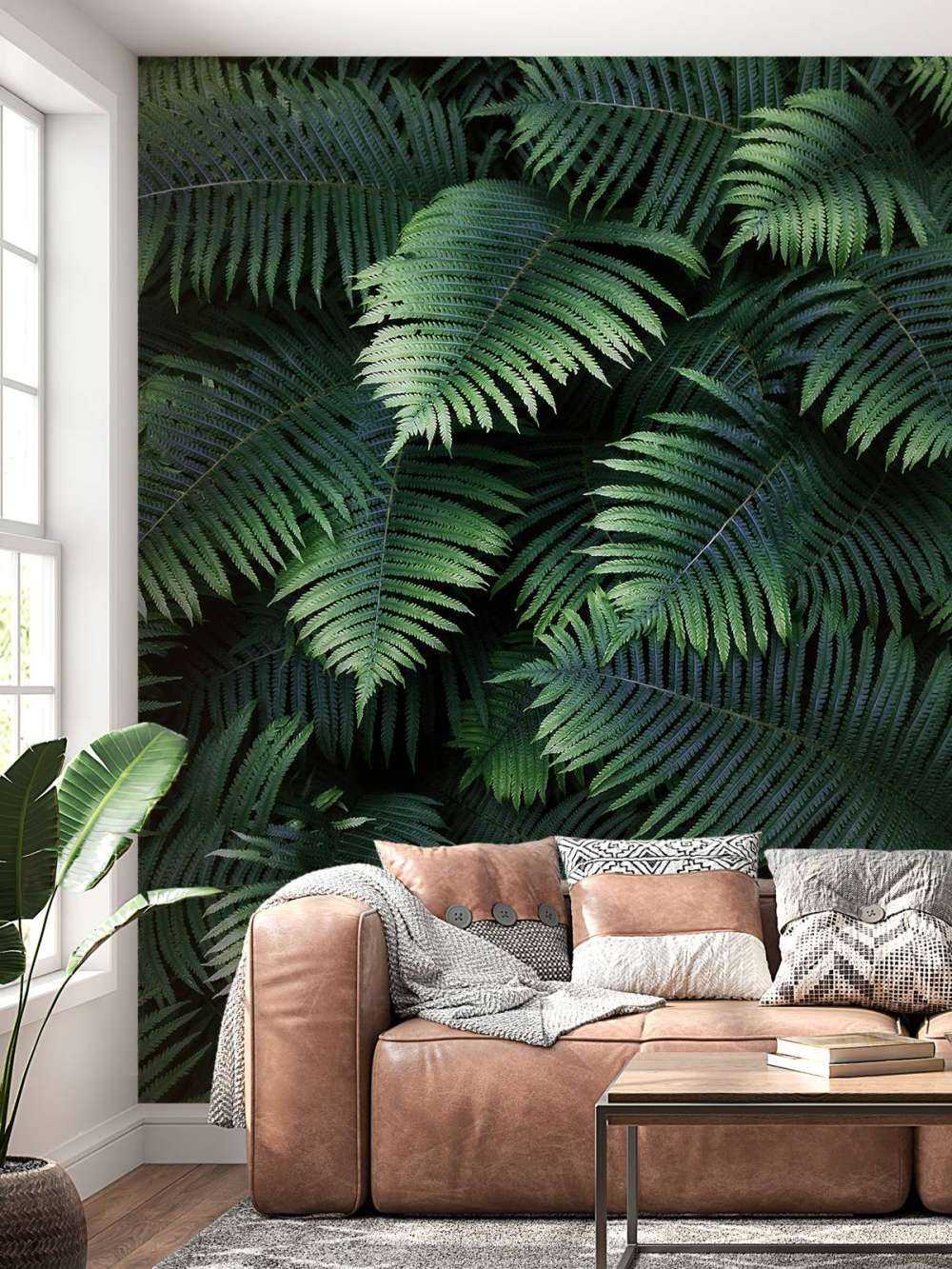 Large palm leaves