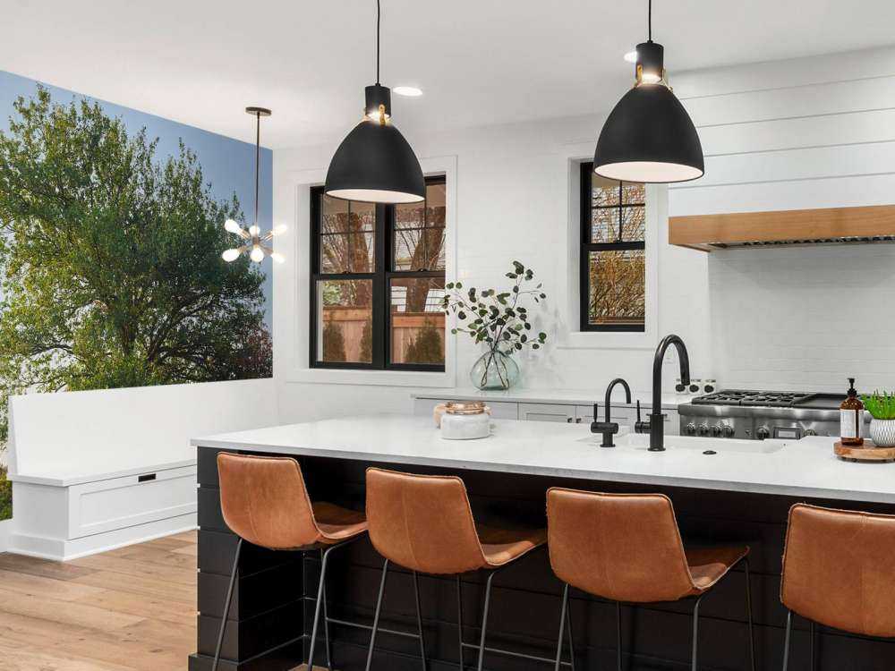 Lonely tree on the heath