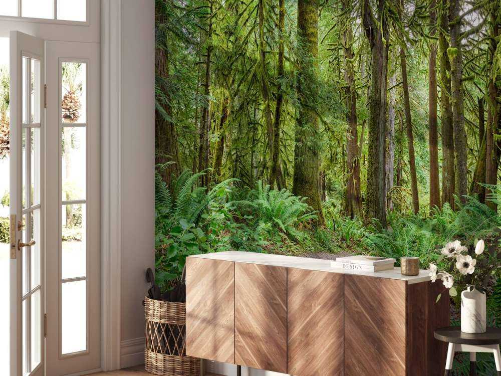 Path with stones through the forest