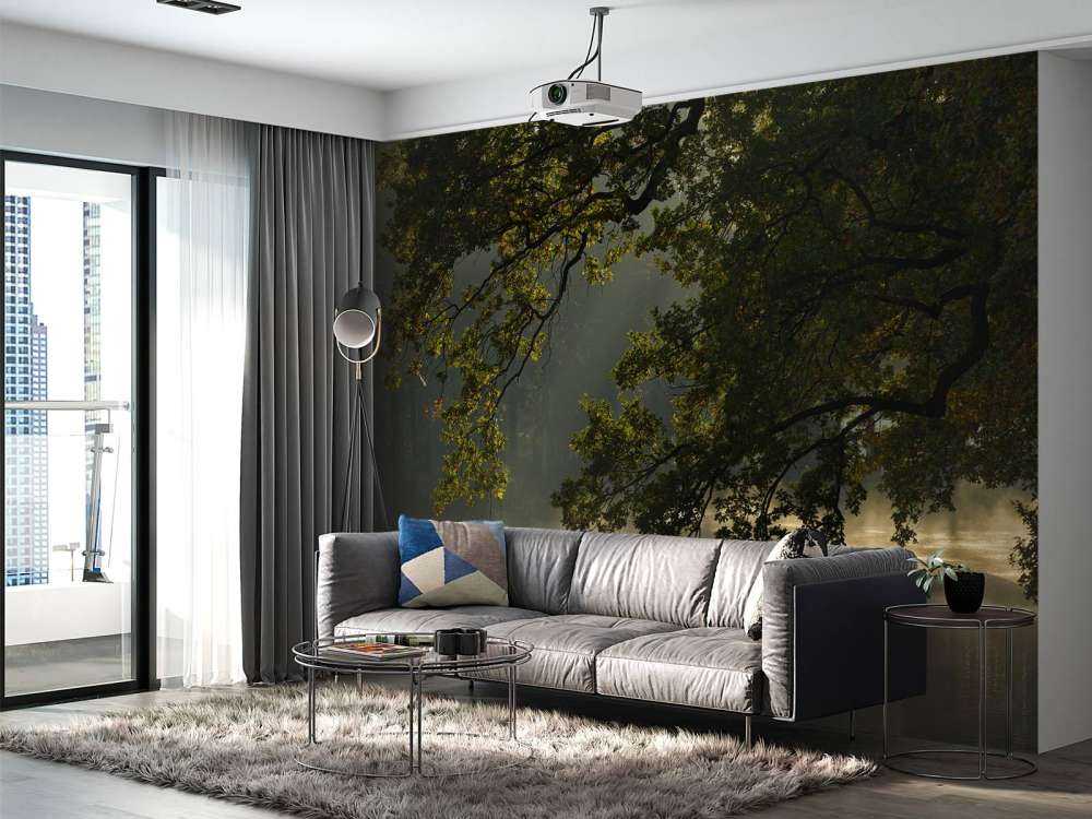 Overhanging branches above the water