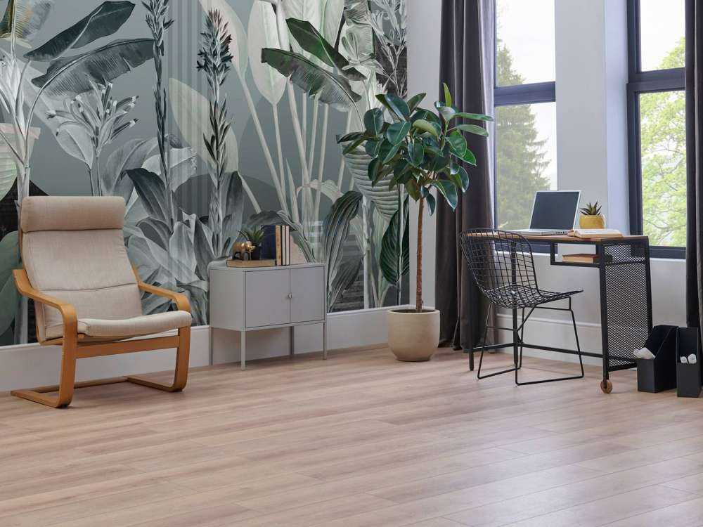 Dreams and Tropics 3