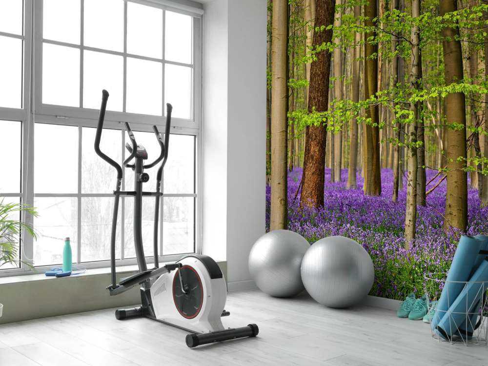 Forest with purple flowers