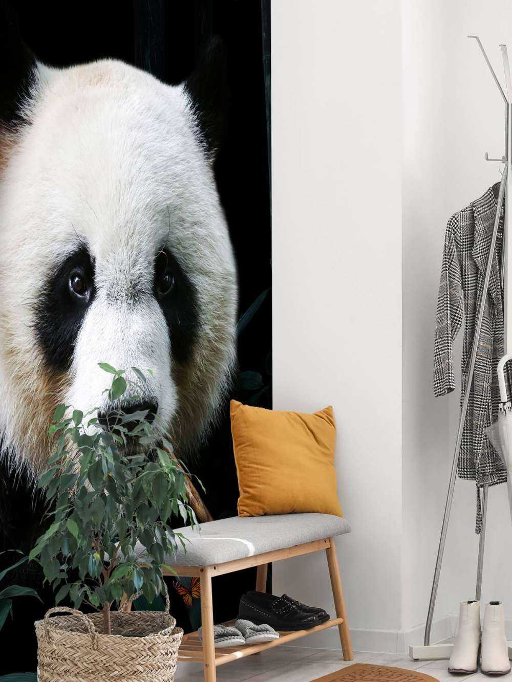 Panda Portrait