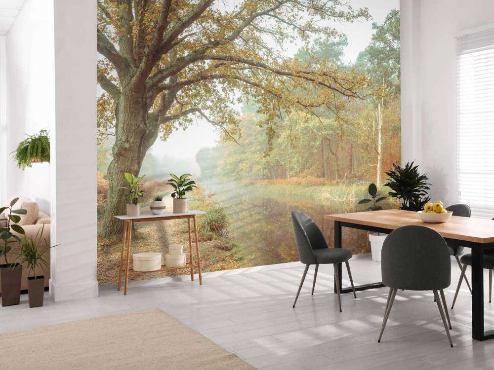 Lake in autumn forest