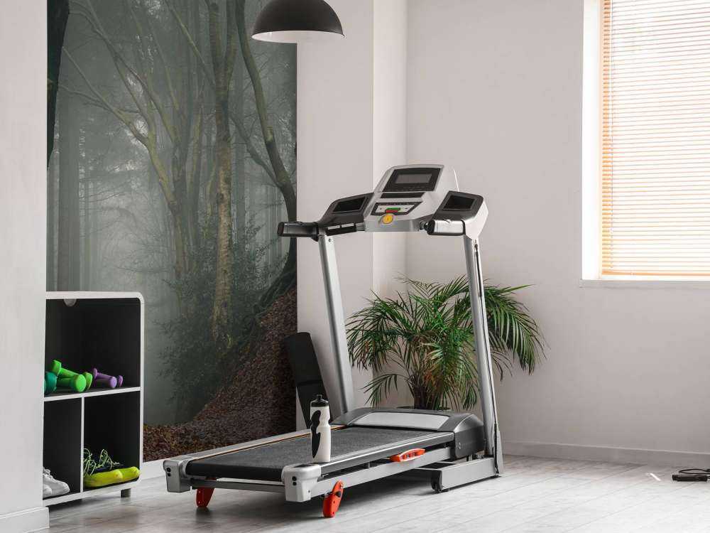 Path through mysterious forest