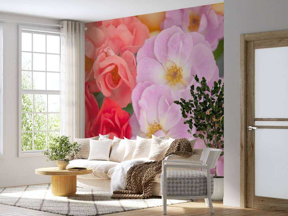 Colorful flowers