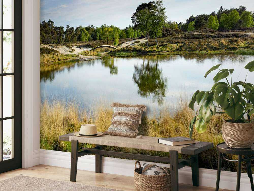 A small forest lake in the heathland area