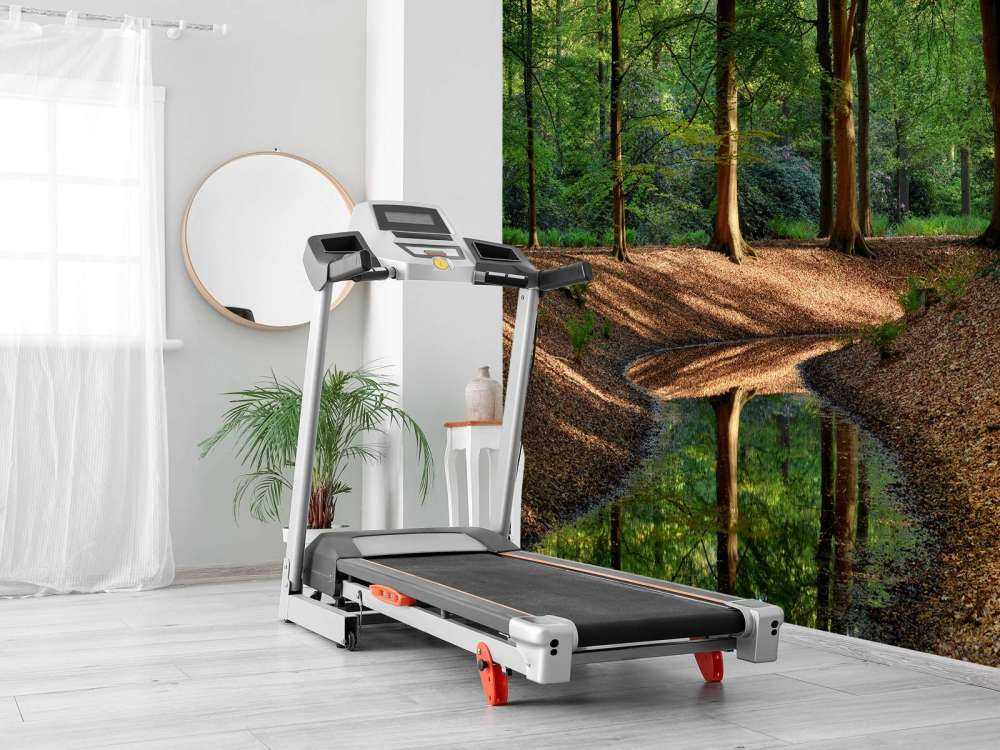 Brooklet in the forest