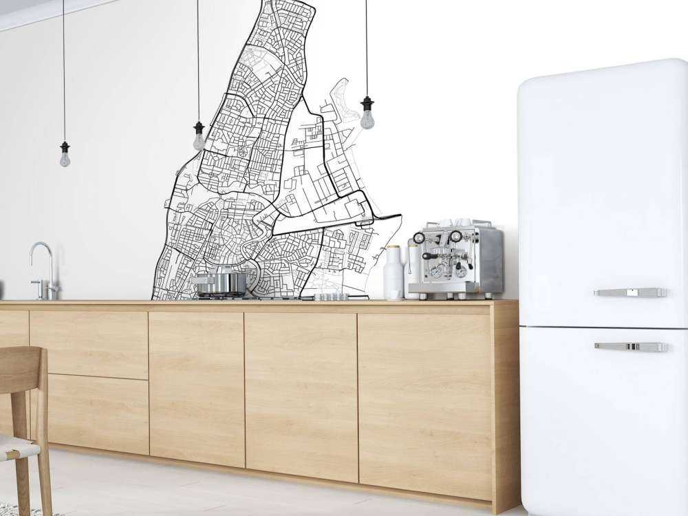 Map of Haarlem, white