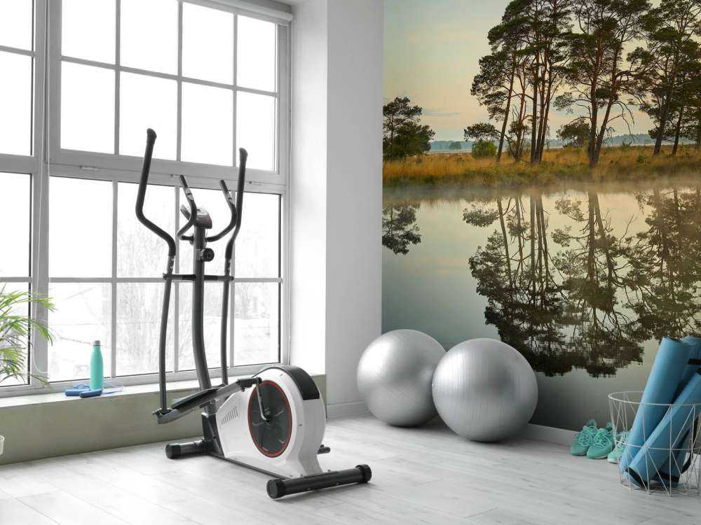 Reflection in woodland veins