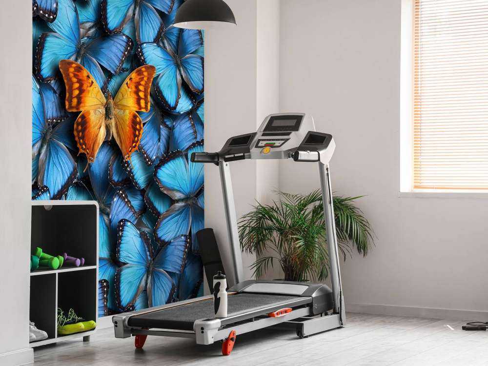 Butterfly composition