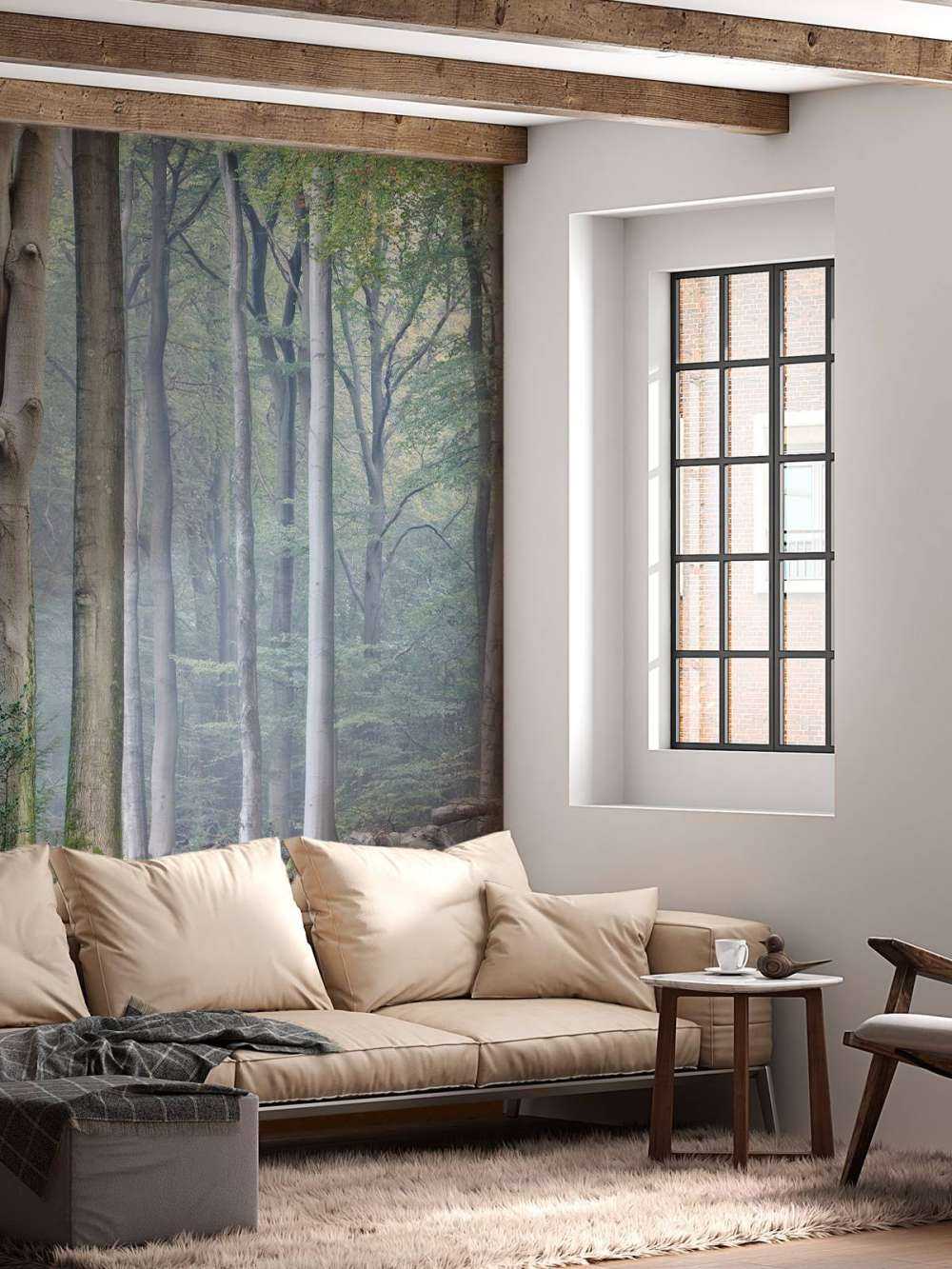 Path through the forest