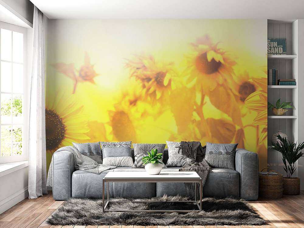 Sunflower panorama