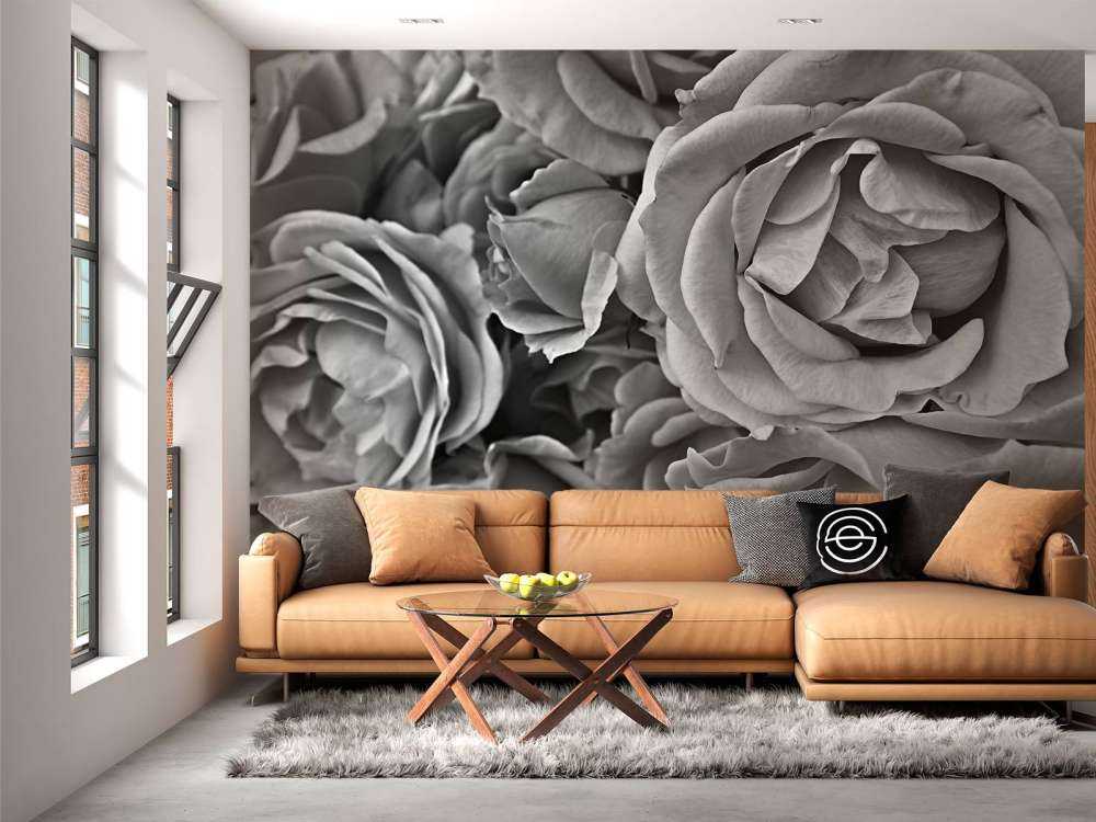 Roses black and white