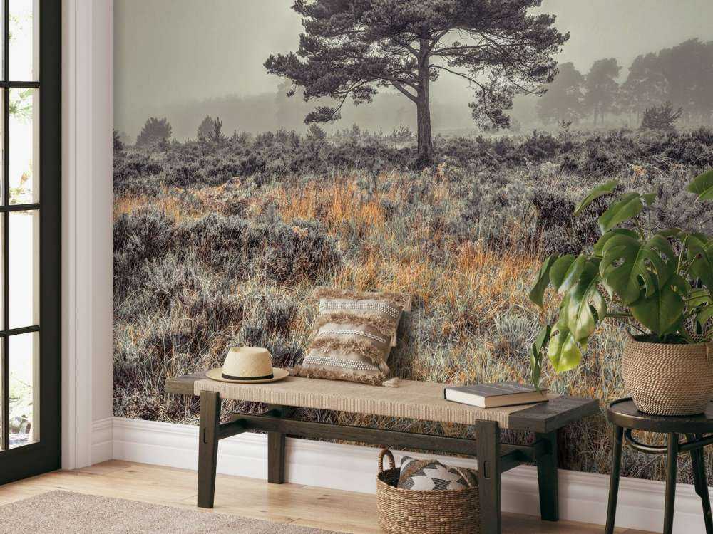 Tree in the countryside