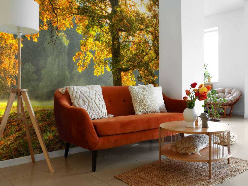 Tree in autumn colours