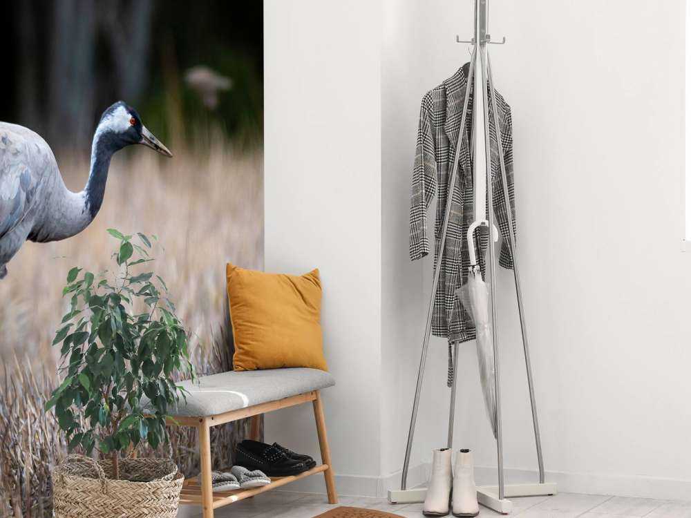 Lopende kraanvogel