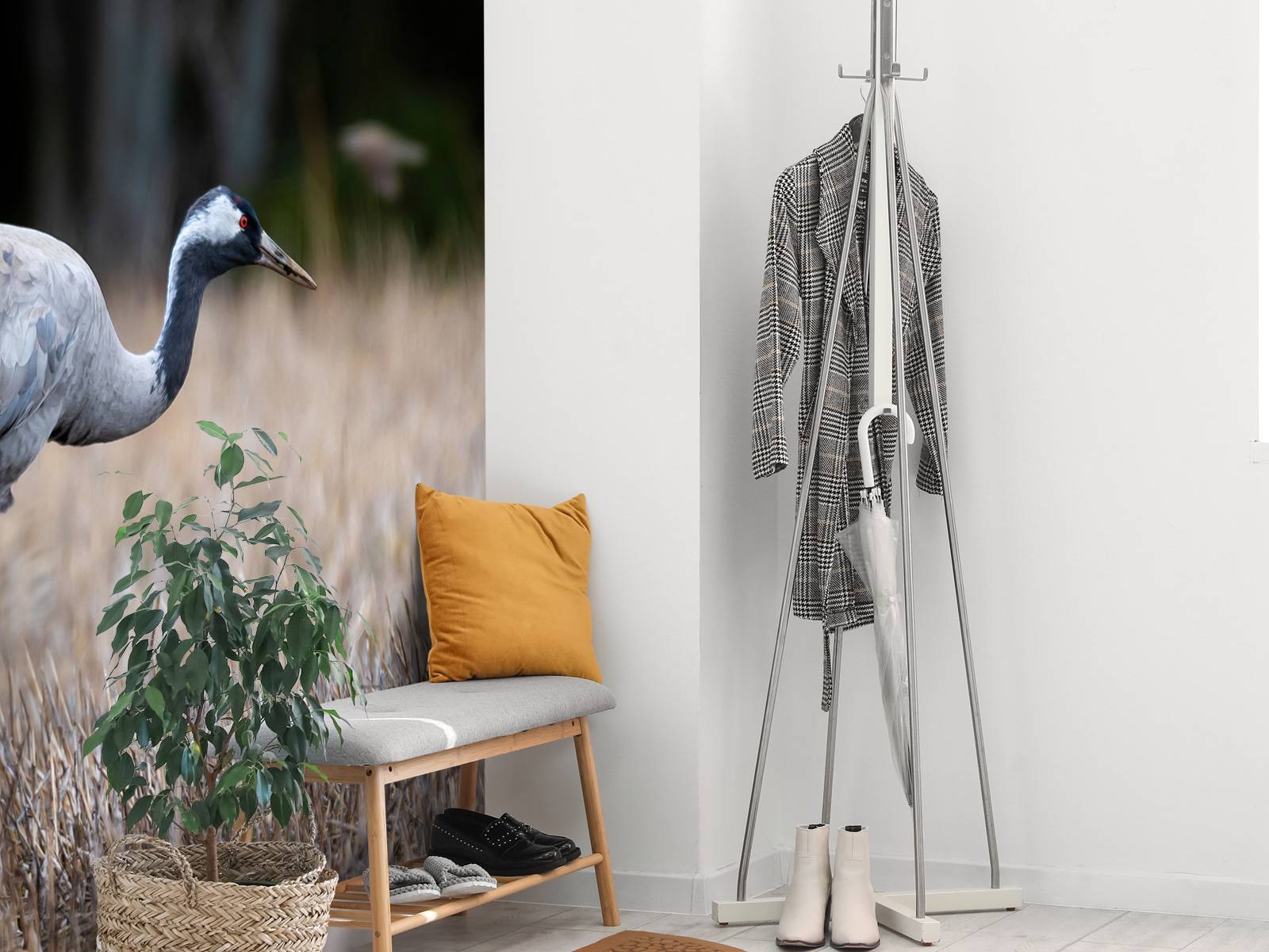 Lopende kraanvogel