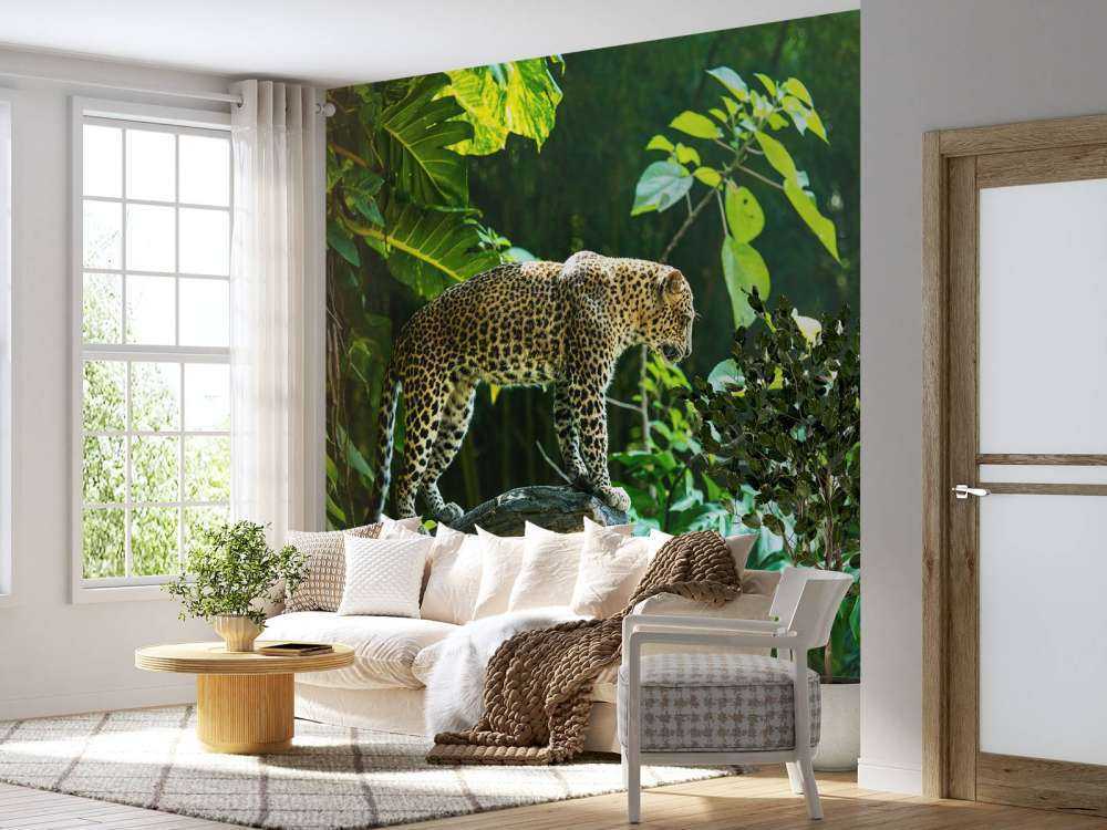 Leopard on a rock face