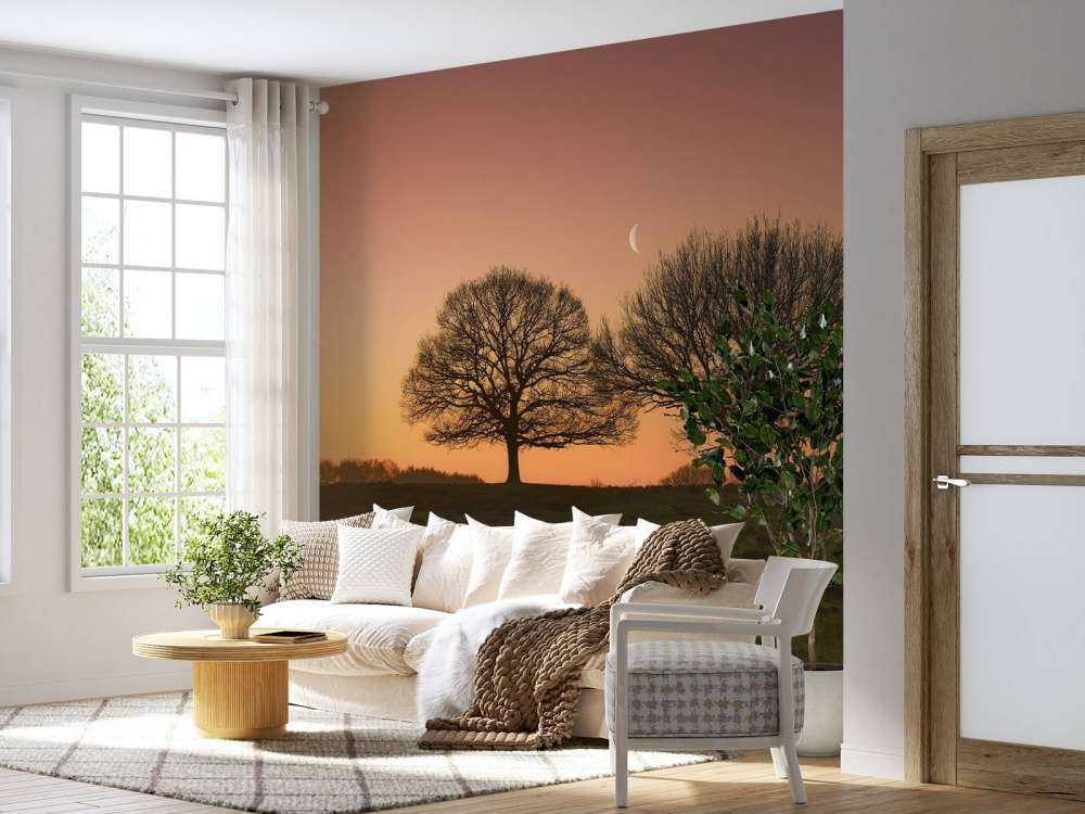 Moon between the trees