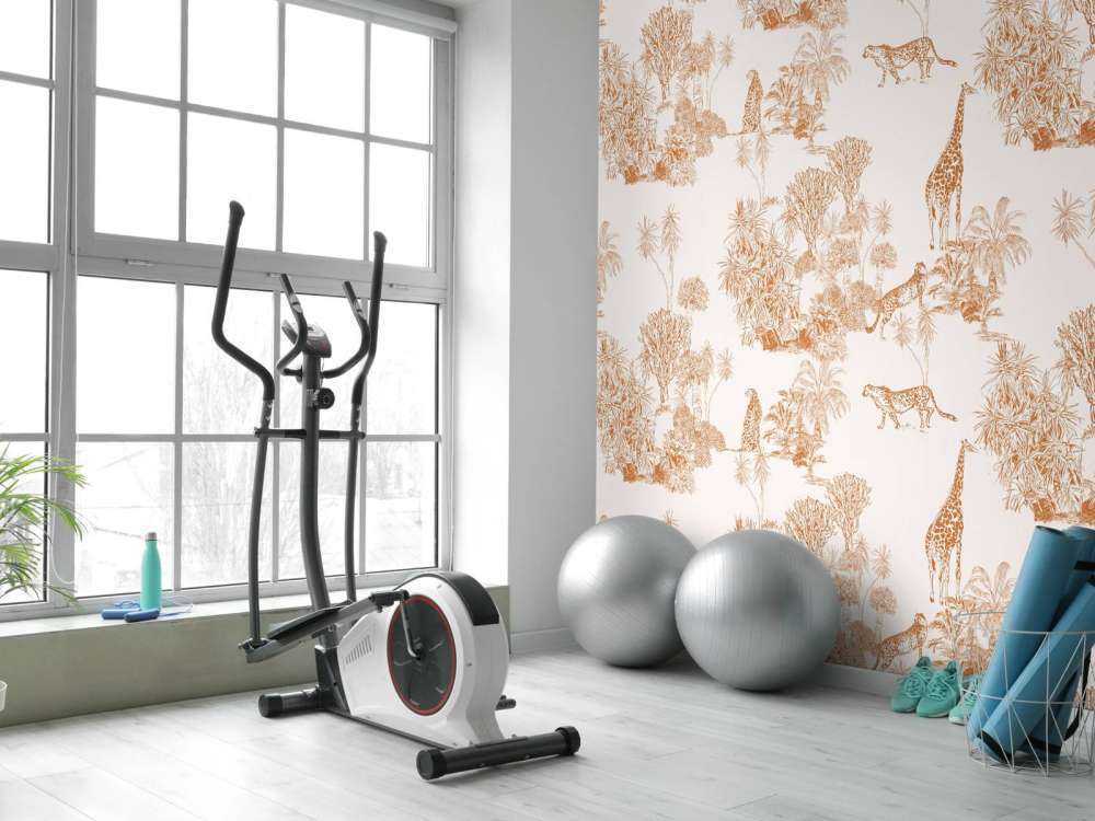 Cheetahs and giraffe