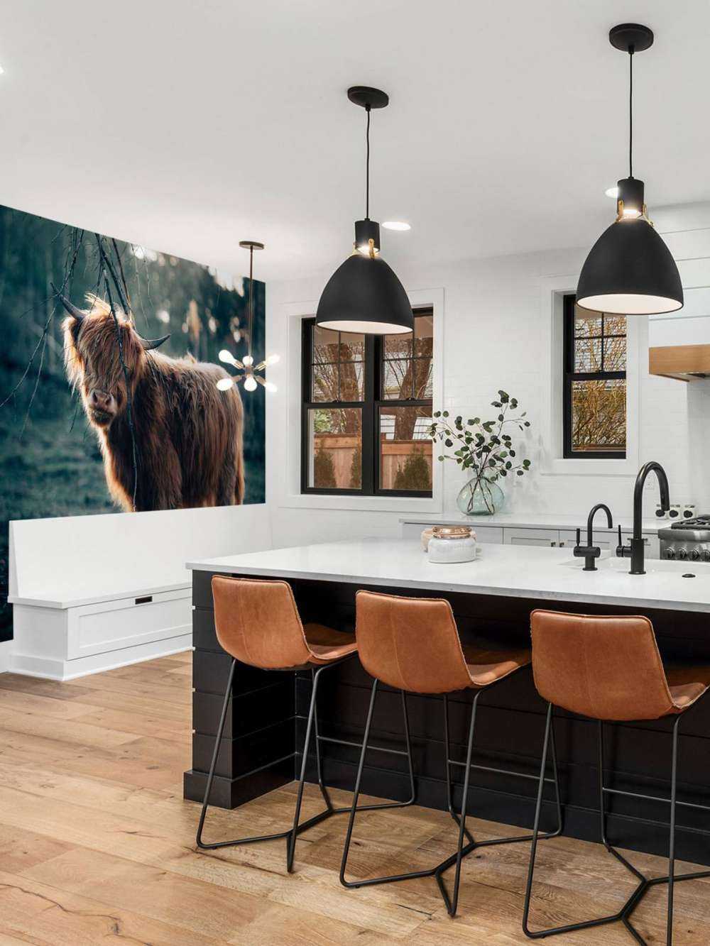 Scottish Highlander on the edge of the woods