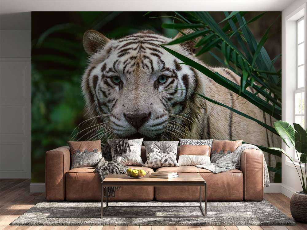 White tiger