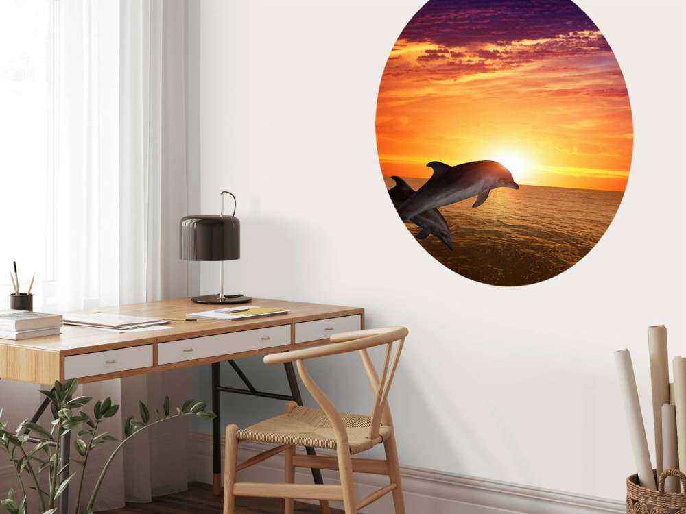 Dolphins in evening sun