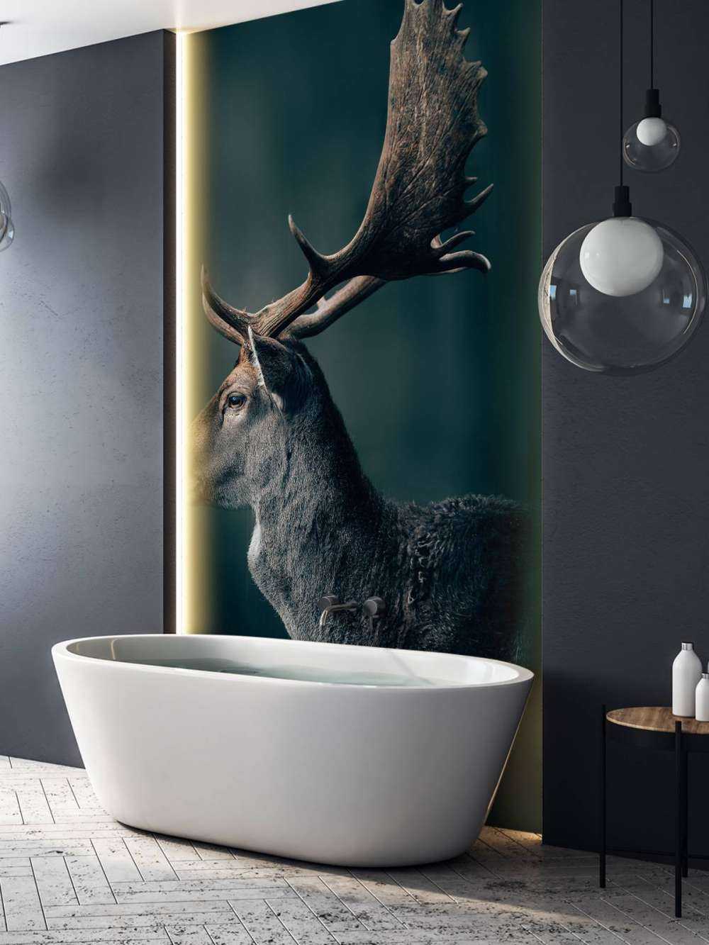 Fallow deer close-up