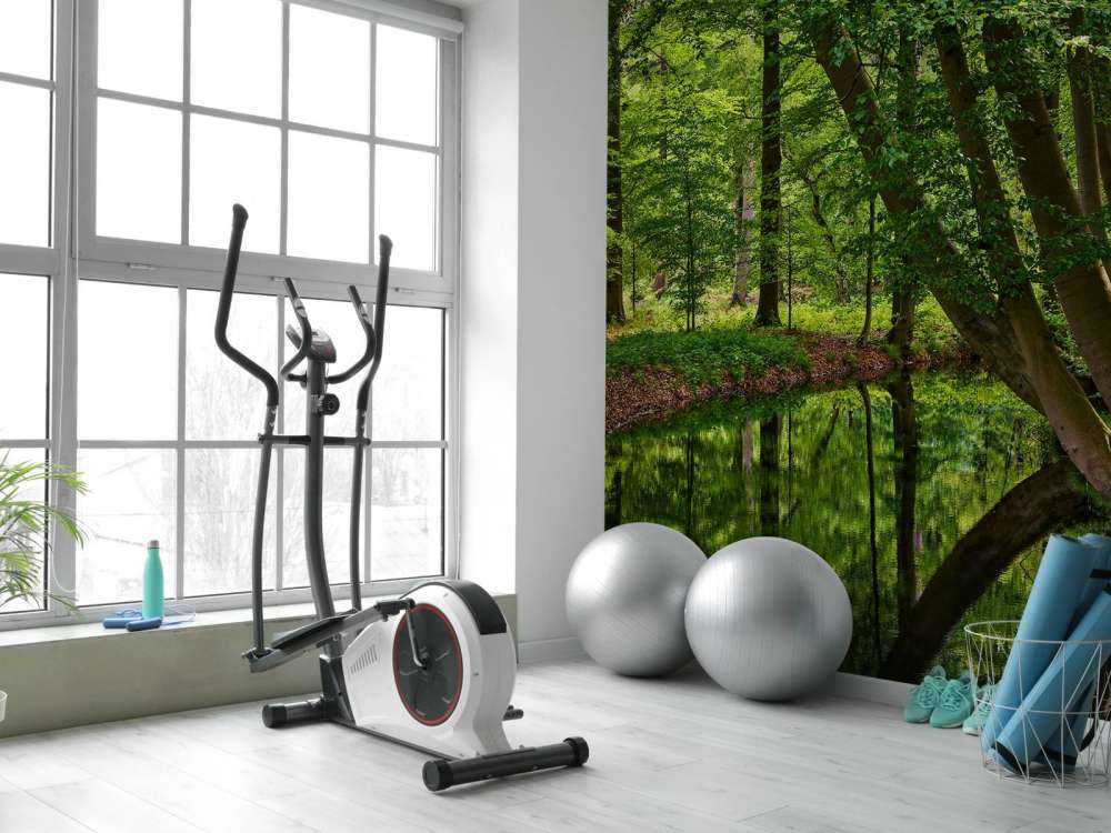 Bent trees by the water