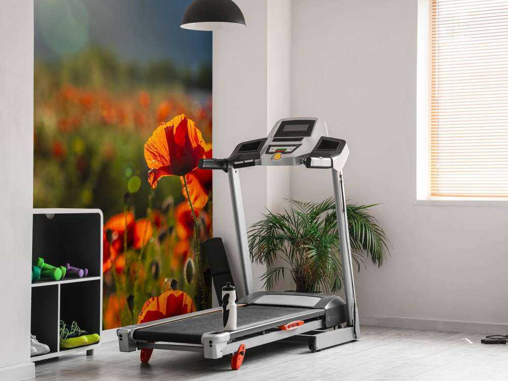 Poppies with sunbeams