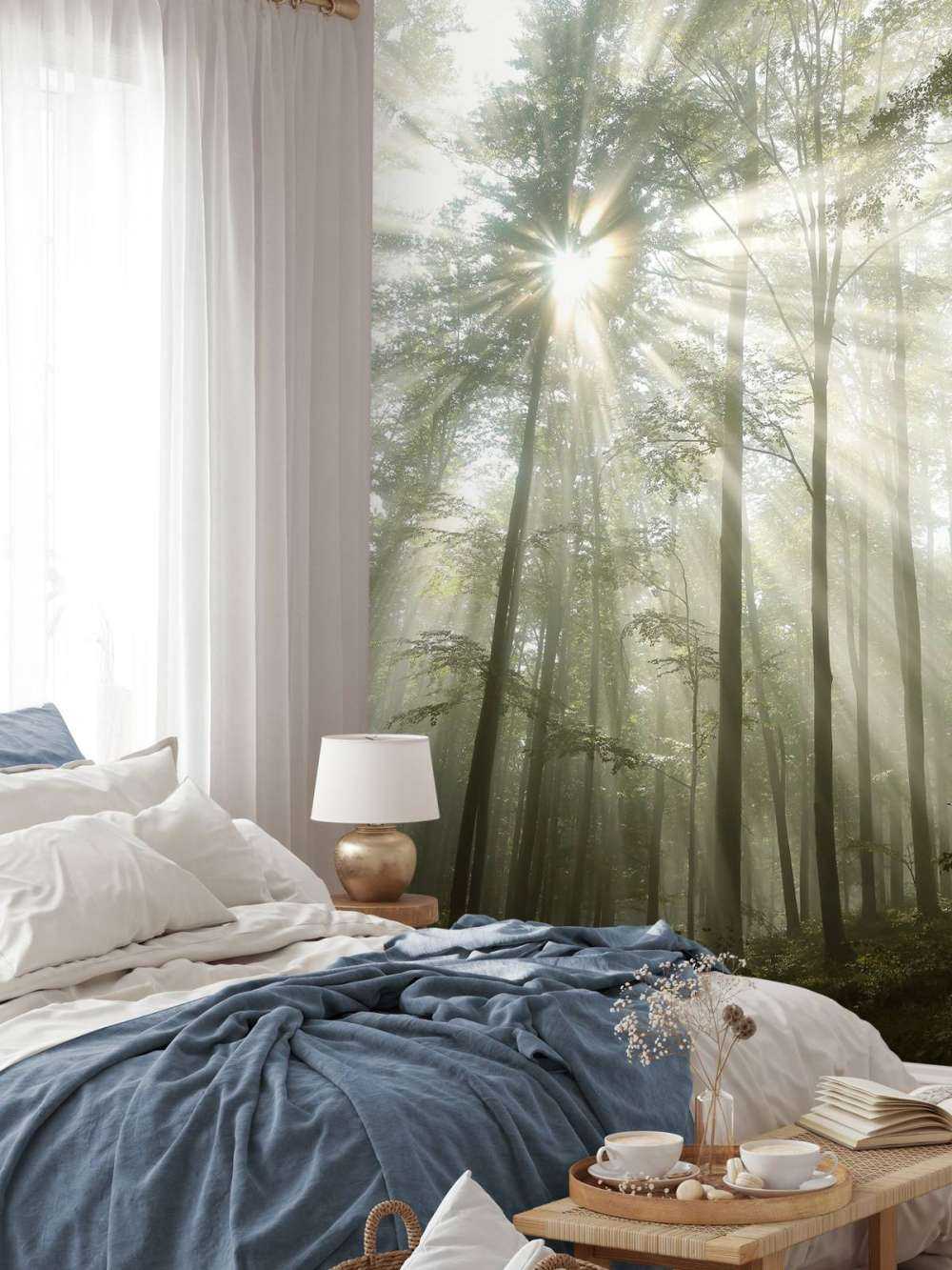 Forest in foggy weather