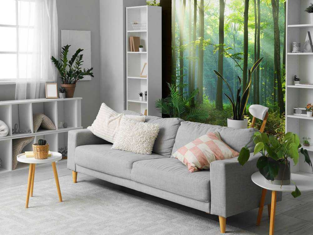 Morning in the forest