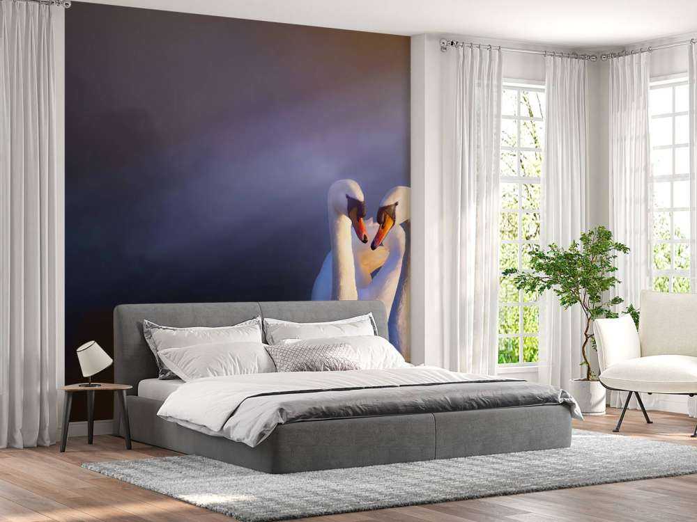 Love couple white swans