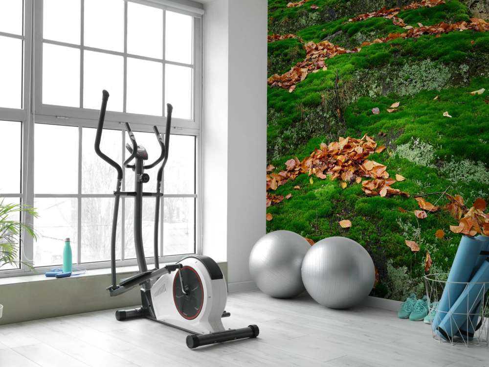 Mos met hefstbladeren